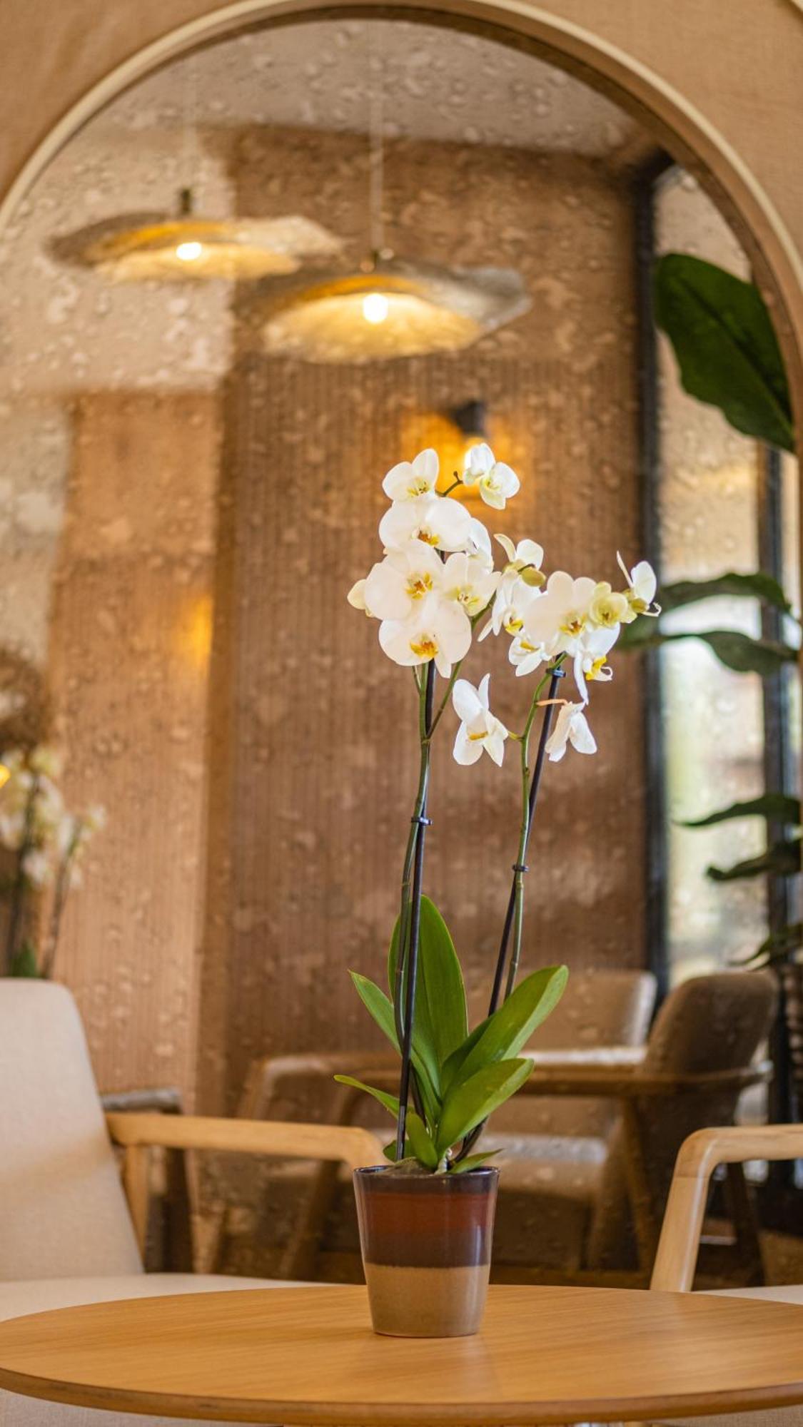 Otel Heritage By Cimen 3*
